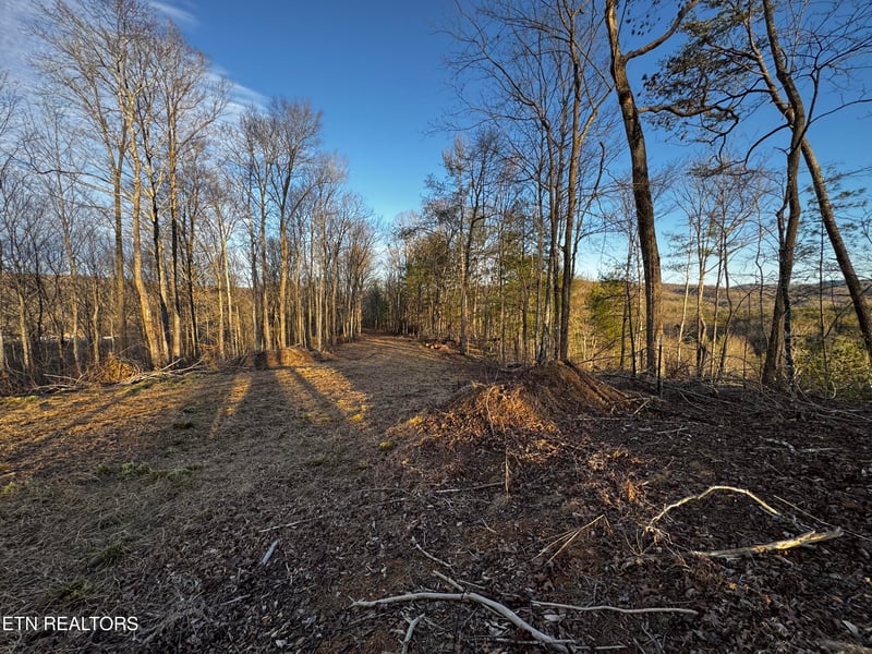 0 River Rd, Huntsville, TN 37756