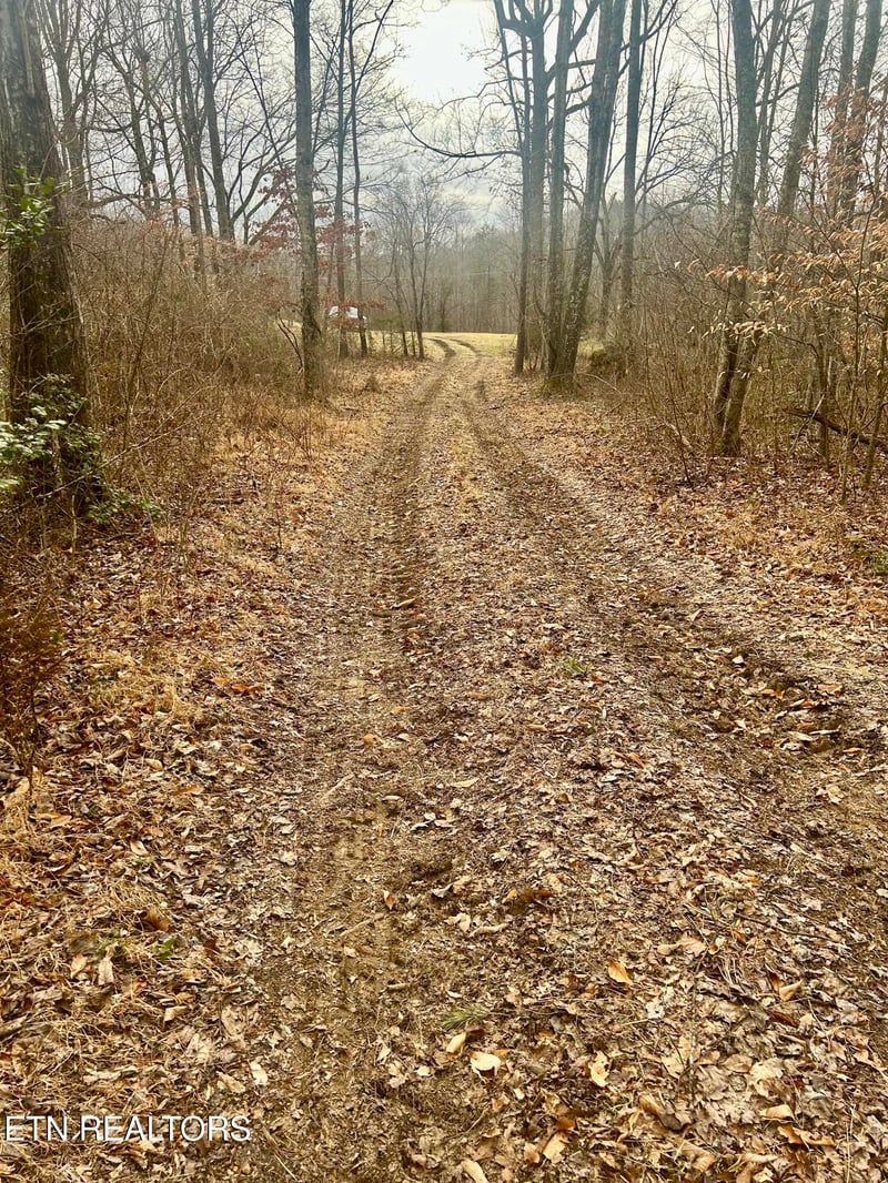 0 River Rd, Jacksboro, TN 37757