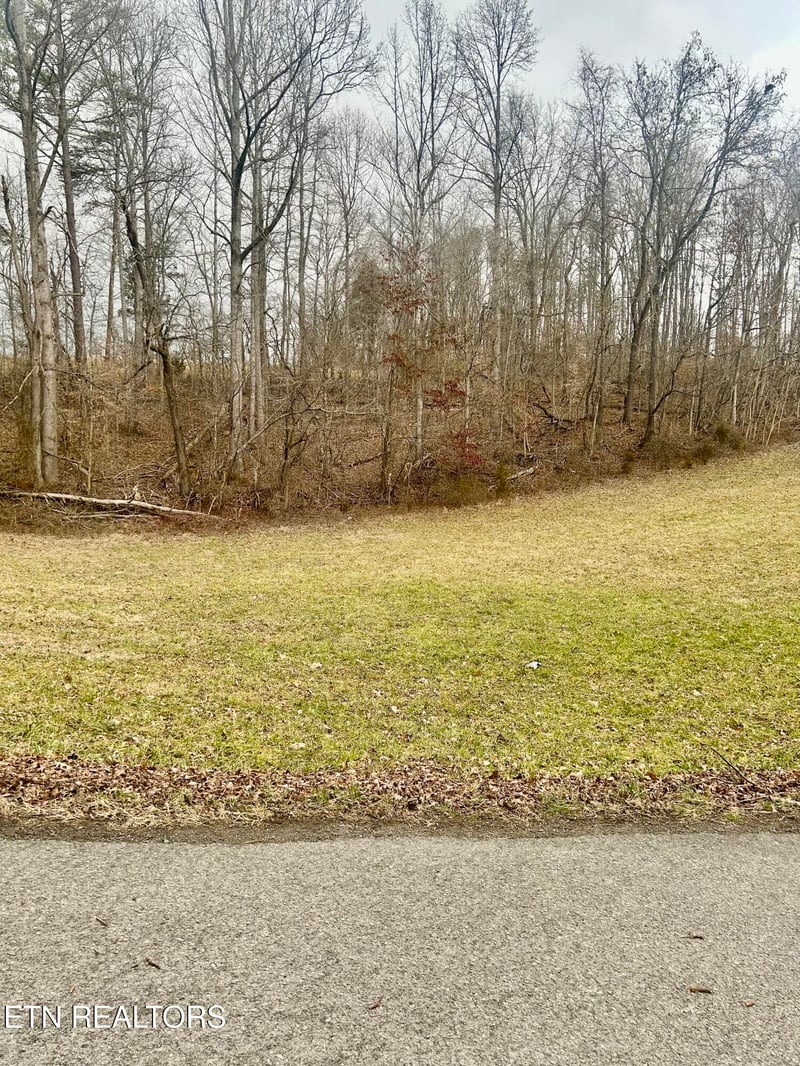 0 River Rd, Jacksboro, TN 37757
