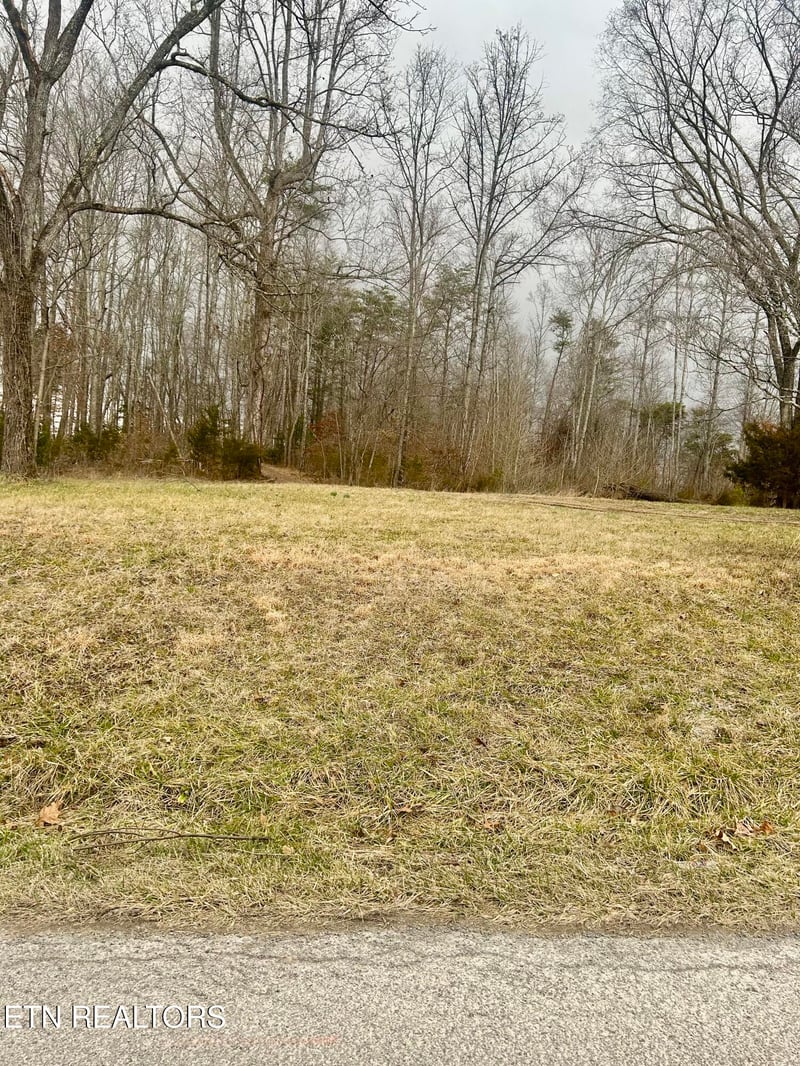 0 River Rd, Jacksboro, TN 37757