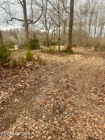 0 River Rd, Jacksboro, TN 37757