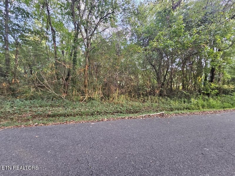 0 River Rd, Kingston, TN 37763
