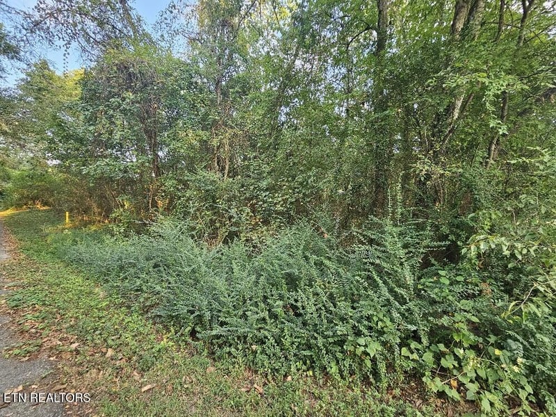 0 River Rd, Kingston, TN 37763