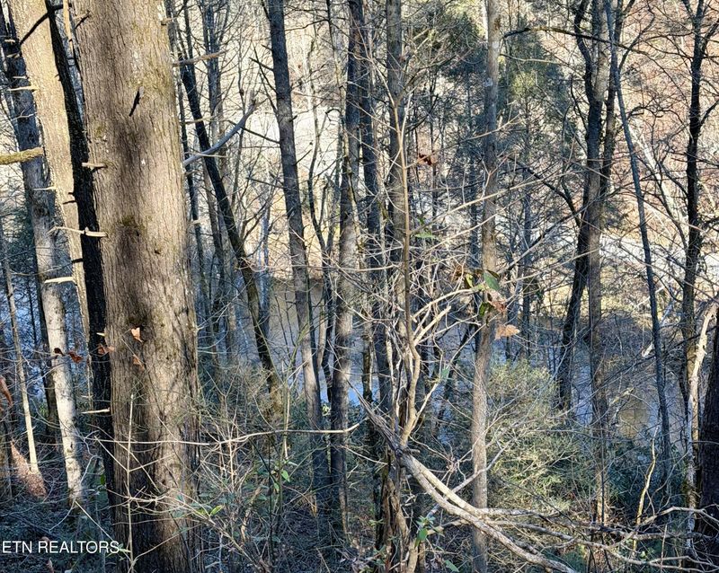 0 River Rd, Tellico Plains, TN 37385