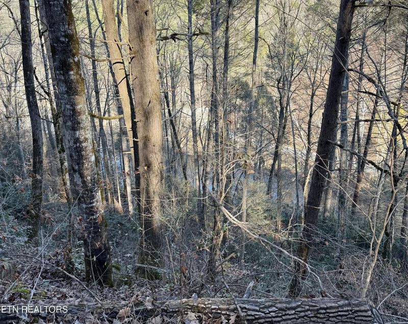 0 River Rd, Tellico Plains, TN 37385