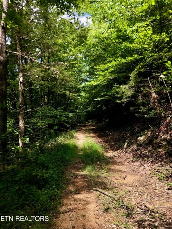 0 River Ridge Road Tract 1, Maynardville, TN 37807