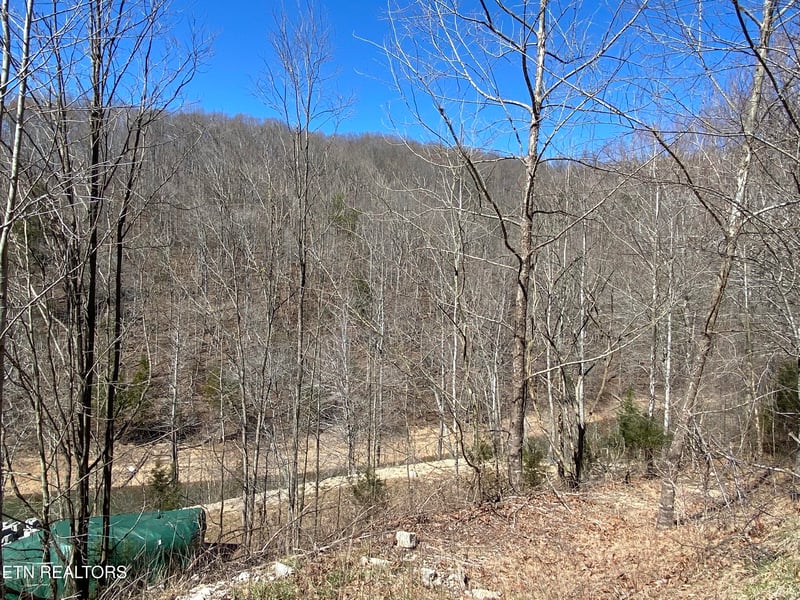 0 River Ridge Road Tract 1, Maynardville, TN 37807