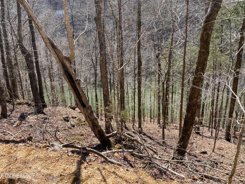 0 River Ridge Road Tract 4, Maynardville, TN 37807