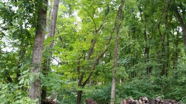 0 Rivers Edge Rd, Louisville, TN 37777