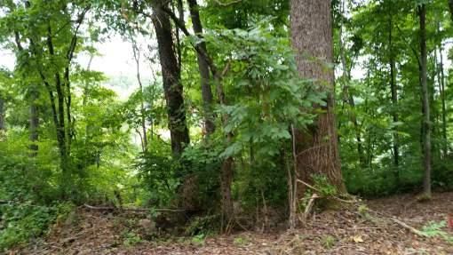 0 Rivers Edge Rd, Louisville, TN 37777