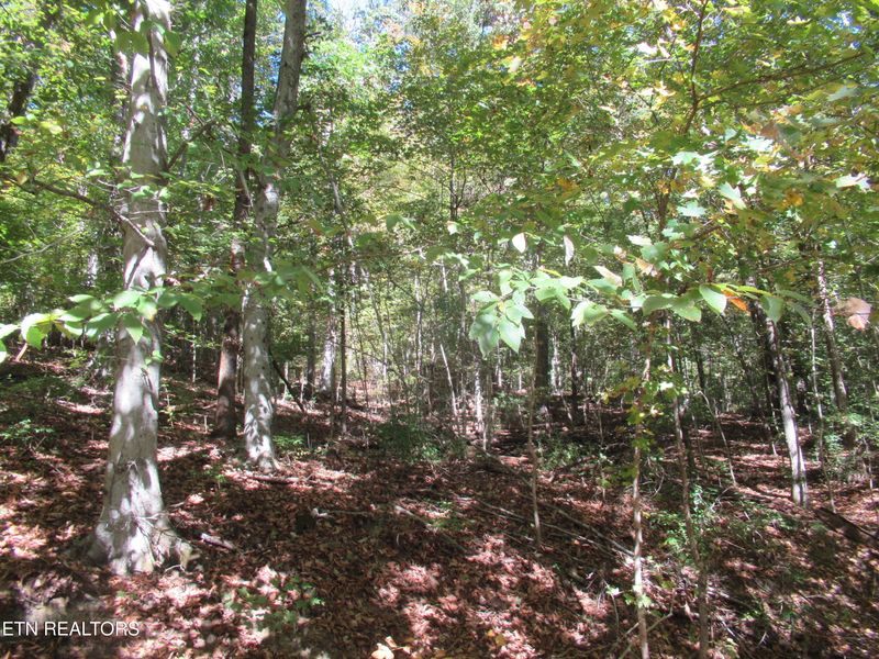 0 Riverside Dr, Knoxville, TN 37914