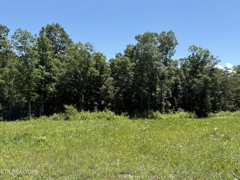 0 Riverview Drive Lot 1 & 2, Crossville, TN 38555