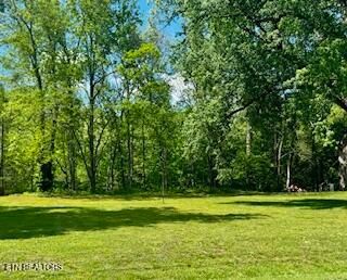 0 Riverview Rd, Townsend, TN 37882