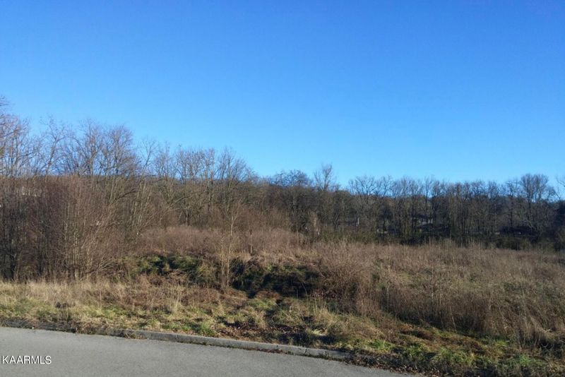 0 Roane Dr, Knoxville, TN 37934