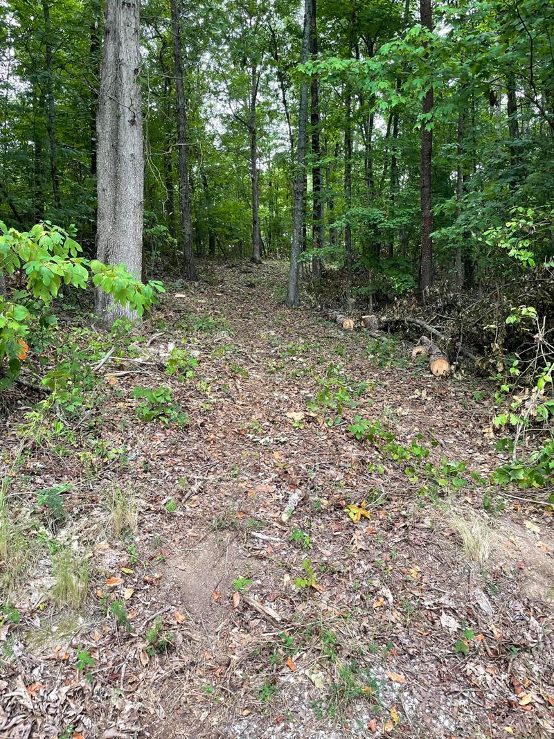 0 Roane State Hwy, Rockwood, TN 37854