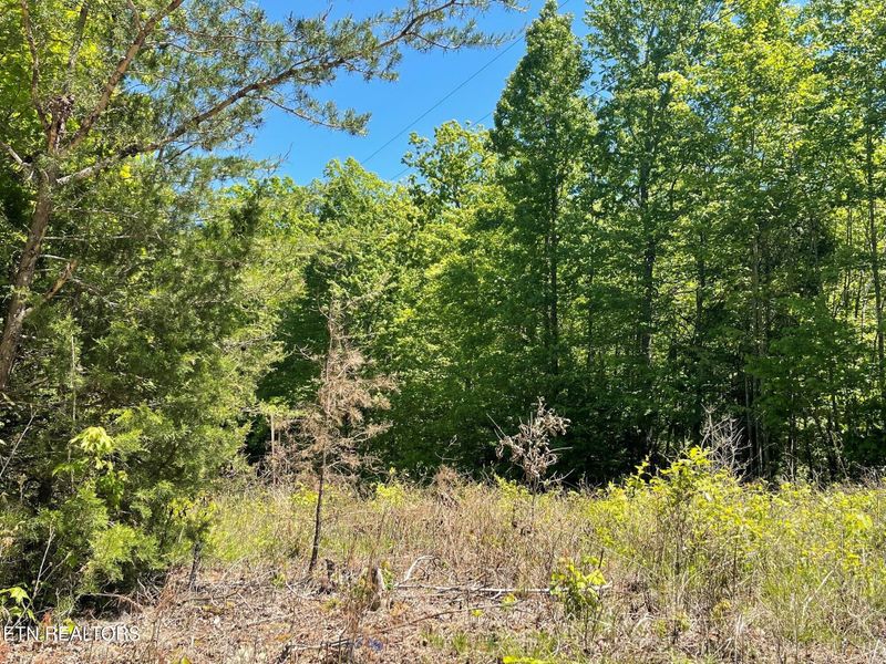 0 Rob Watson Rd, Oneida, TN 37841