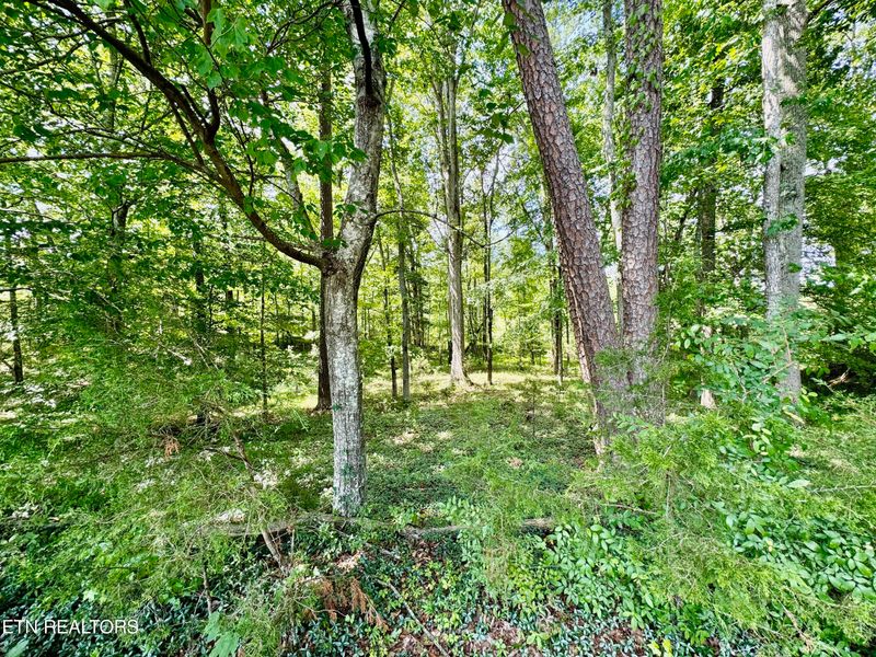 0 Robinson Ln, Kingston, TN 37763