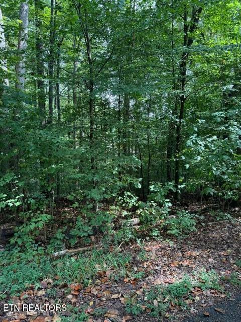 0 Rock Hill Rd, Maryville, TN 37804