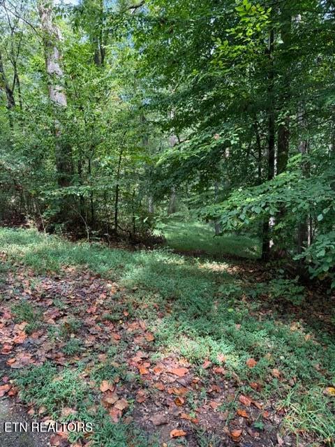 0 Rock Hill Rd, Maryville, TN 37804