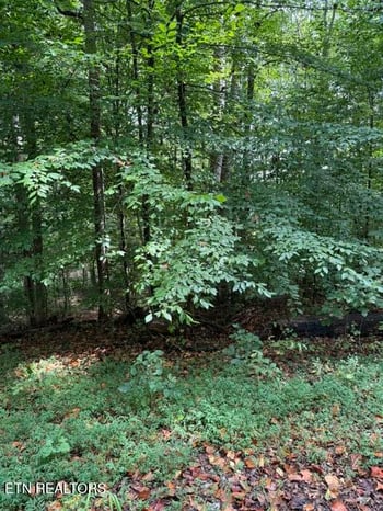 0 Rock Hill Rd, Maryville, TN 37804