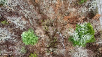 0 Rock House Rd, Pioneer, TN 37847