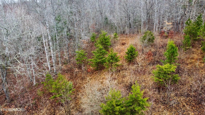 0 Rock House Rd, Pioneer, TN 37847