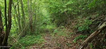0 Rockhouse Creek Church Rd, Pioneer, TN 37847