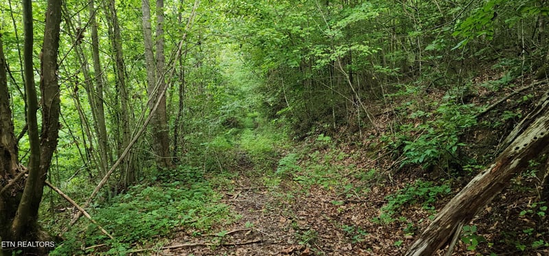 0 Rockhouse Creek Church Rd, Pioneer, TN 37847