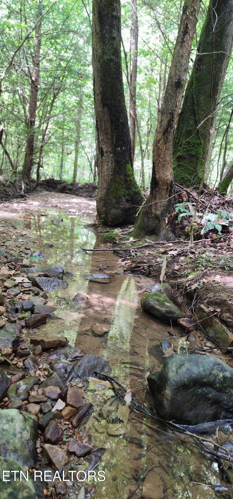 0 Rockhouse Creek Church Rd, Pioneer, TN 37847