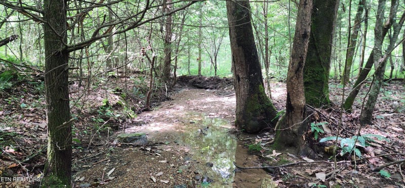 0 Rockhouse Creek Church Rd, Pioneer, TN 37847