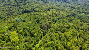 0 Rockhouse Creek Church Rd, Pioneer, TN 37847