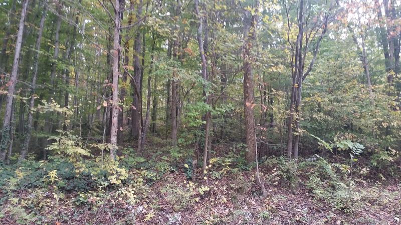 0 Rocky Branch Rd, Walland, TN 37886