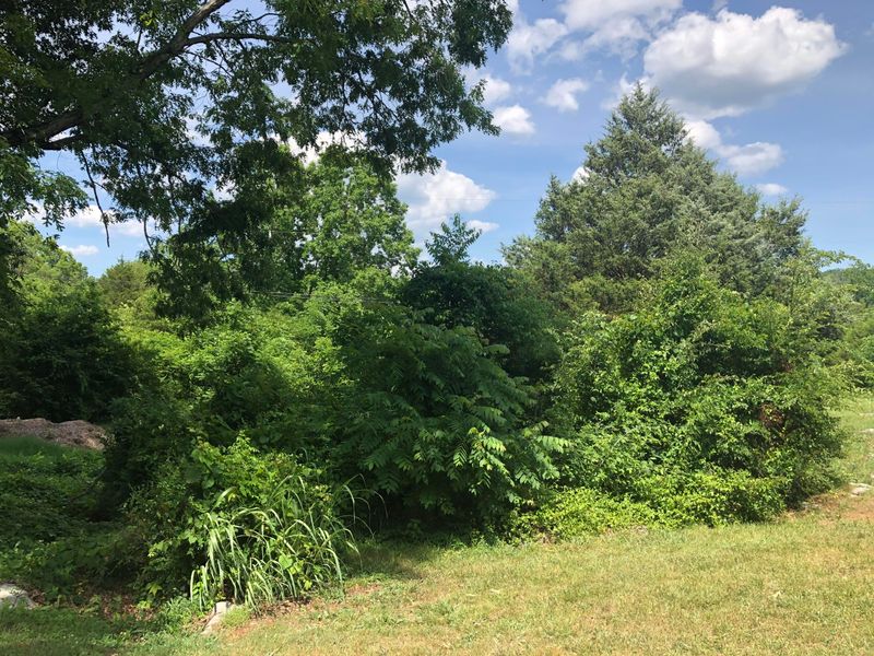 0 Rocky Flat Rd Off Rd, Rutledge, TN 37861