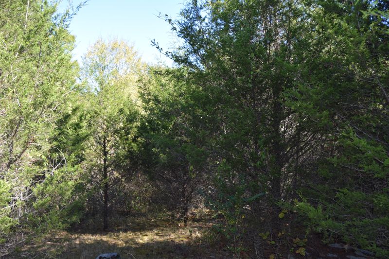 0 Rocky Flat Rd, Rutledge, TN 37861