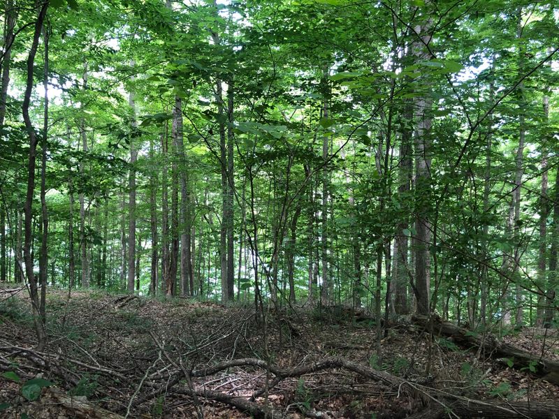 0 Rocky Top Ln, Jacksboro, TN 37757