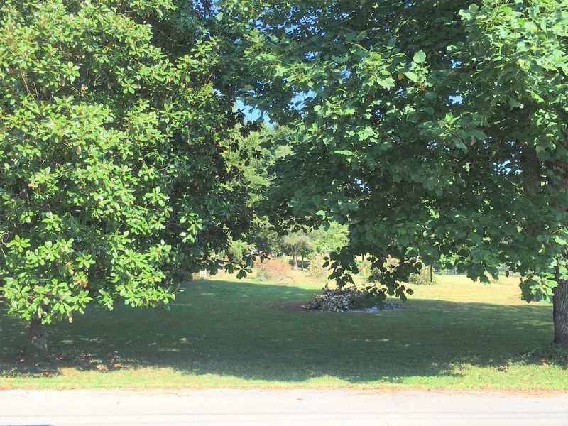 0 Rodney Rd, Lenoir City, TN 37772