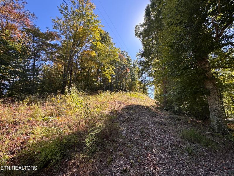 0 Roe Ln #009 005.03, Winfield, TN 37892