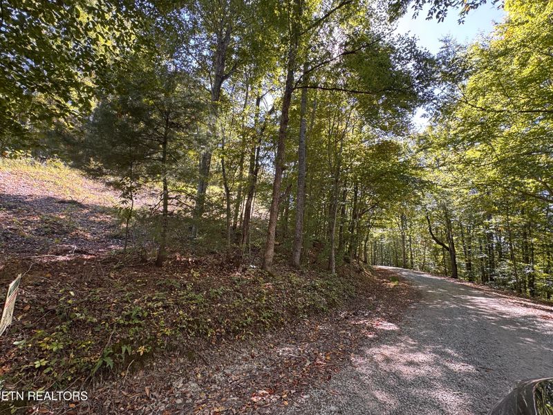 0 Roe Ln #009 005.03, Winfield, TN 37892