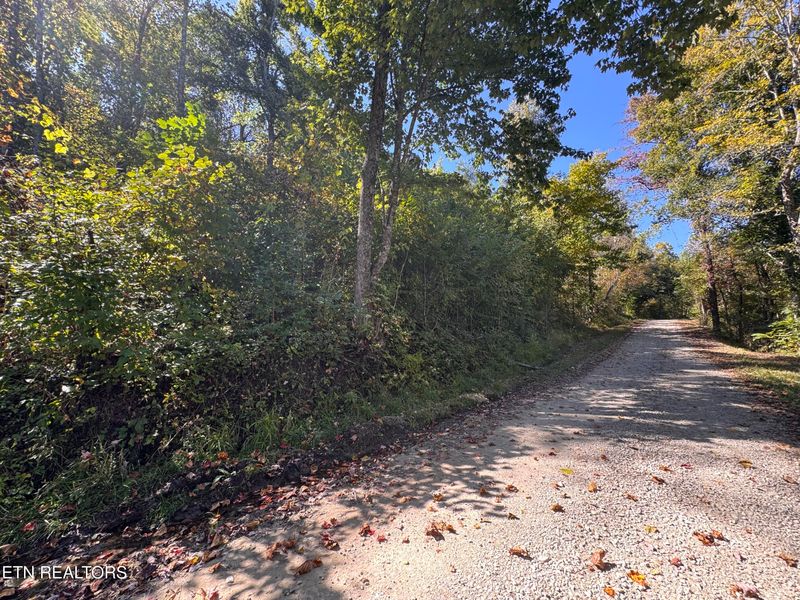 0 Roe Ln #009 005.03, Winfield, TN 37892