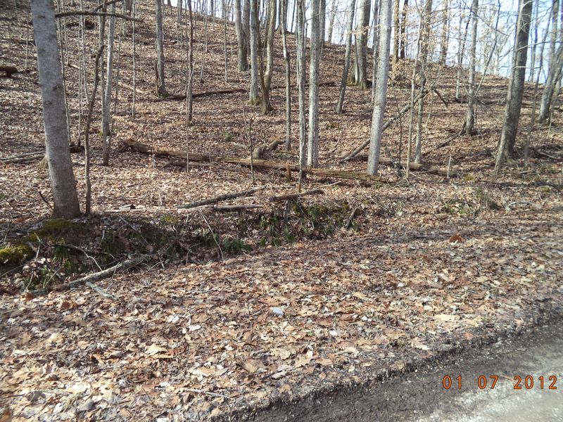 0 Roe Ln, Winfield, TN 37841