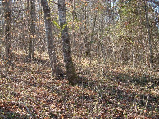 0 Rogers Rg, Kingston, TN 37763