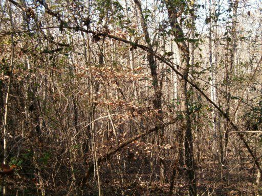 0 Rogers Rg, Kingston, TN 37763