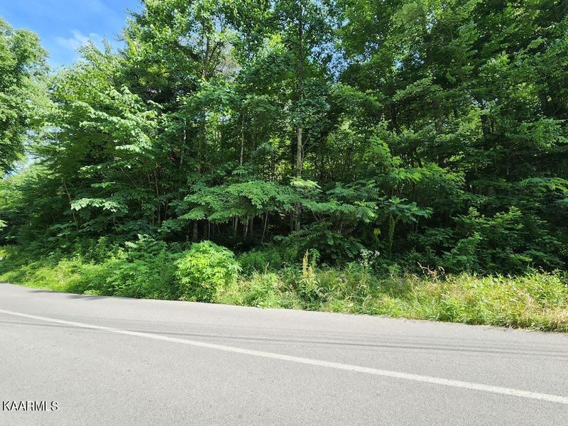 0 Rose Ps, Sevierville, TN 37876