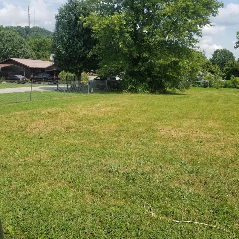 0 Rose St, Wartburg, TN 37887