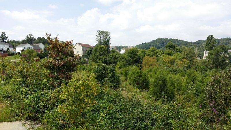 0 Ruby Jane Ln, Corryton, TN 37721