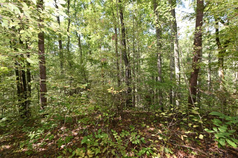 0 Rudd Hollow Road Rd, Townsend, TN 37882