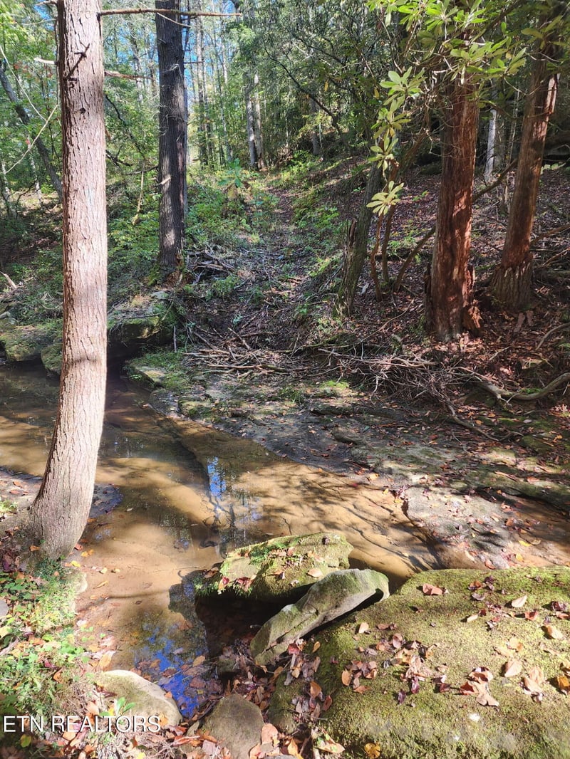 0 Rugby Highway 52, Robbins, TN 37852