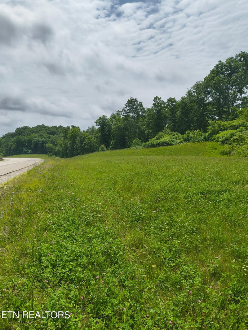 0 Rugby Highway 52, Robbins, TN 37852