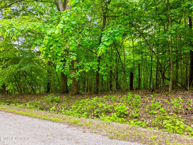 0 Running Deer Tr, Caryville, TN 37714