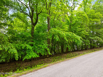0 Running Deer Tr, Caryville, TN 37714